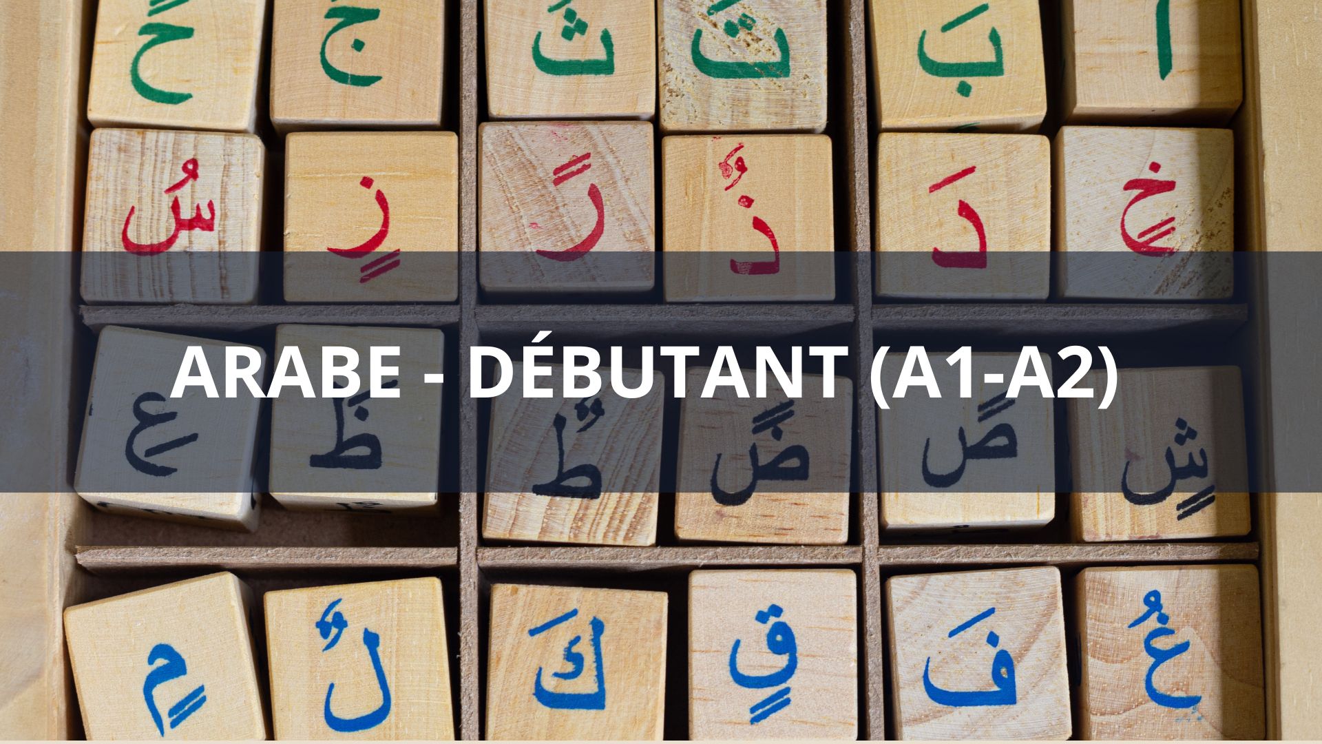 Arabe – Débutant (A1-A2)