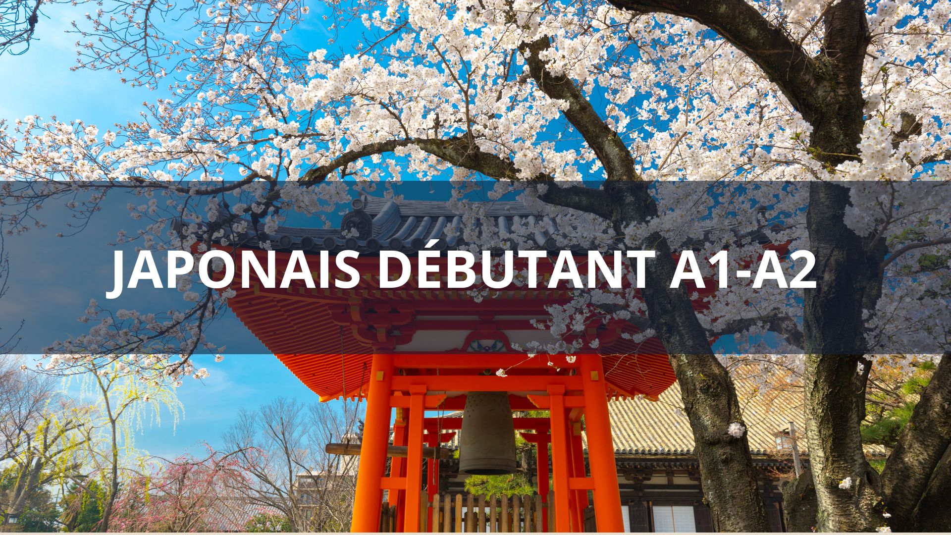Japonais Débutant A1-A2